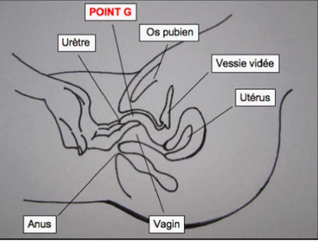 Continuation of the post Yoni massage. From anatomy to practice - Life stories, Reply to post, The medicine, Sexual health, Longpost, Sex