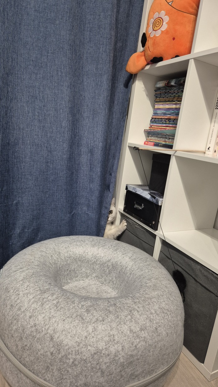 ��������� ����������. ��������� ������� � ��������