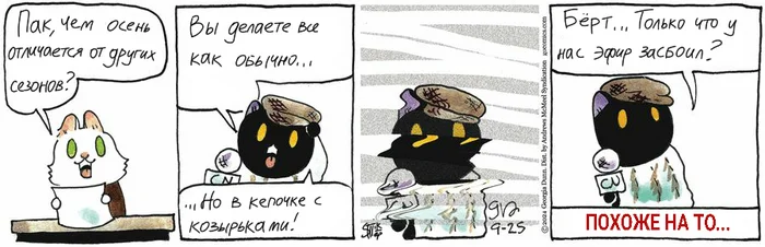 Koteikiny News from 09.25.2024 - My, Translation, Koteikin news (comic), Comics, cat