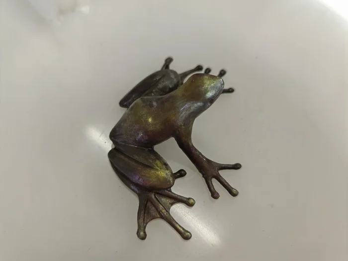 Toad after 25% peroxide before anodizing - My, Chemistry, Titanium, Experiment, Text, Longpost