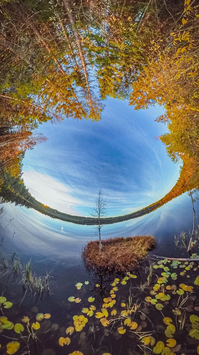 Осенний пейзаж - Моё, Фотография, Вологда, Природа, Озеро, Лес, Сферическая панорама, Панорамная съемка, Осень, Красивый вид, Сентябрь, Длиннопост