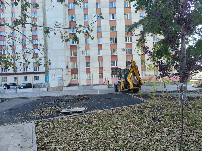 Не делай добра, не получишь зла - Уфа, Дерево, Башкортостан, Длиннопост