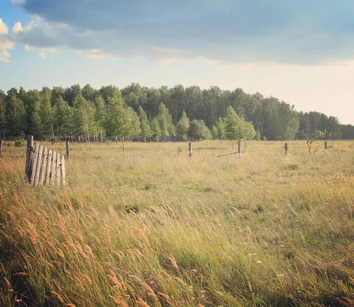 Walk - The photo, Walk, Longpost, Water tower, Nature