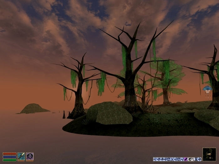 ������� �����. �����