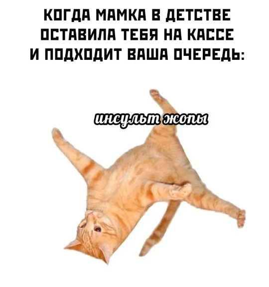 Childhood - Memes, Humor, Picture with text, Strange humor, cat