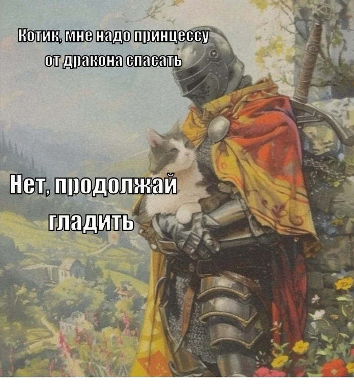 Kitty) - My, Men and women, Humor, Picture with text, cat, Knights