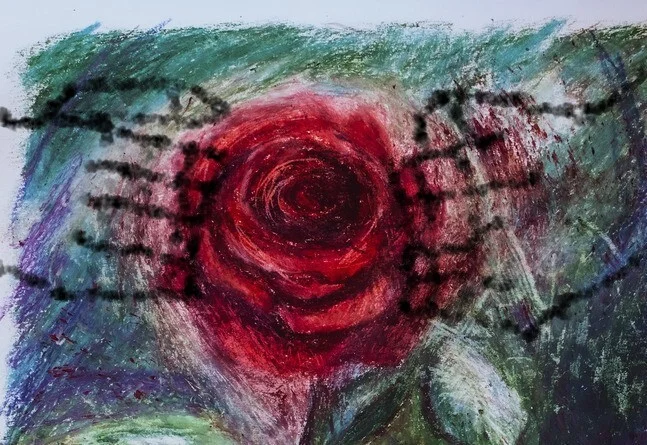 Reply to post Rose, oil pastel - Images, Drawing, Painting, Traditional art, Art, Oil pastel, Pastel, Still life, Flowers, the Rose, Reply to post