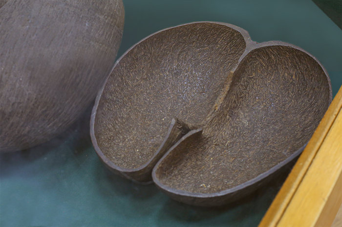  &nbsp;   .&nbsp;     .