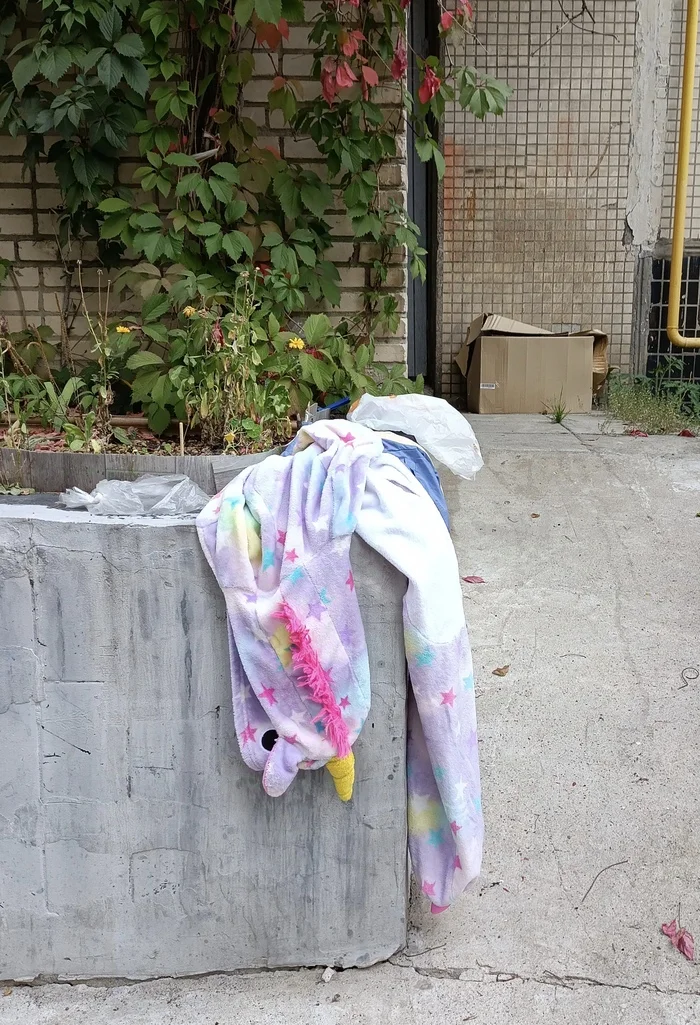 Someone has shed their skin, winter is coming - My, Skin, Trash heap, Kigurumi, Pony, Unicorn, Cosplay, Starpony, The photo