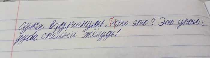 Барсук вздрогнул - Моё, Дети, Школа, Ошибка, Учитель, Юмор, Показалось