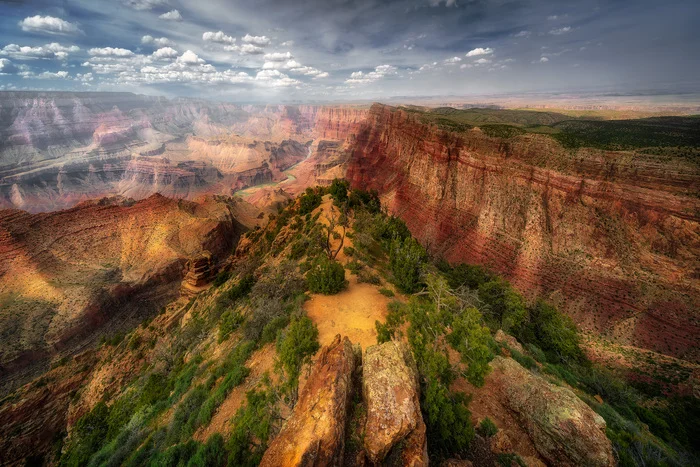 Grand Canyon South Rim (Гранд Каньон, Южная часть) - Моё, Фотография, Путешествия, США, Гранд-Каньон