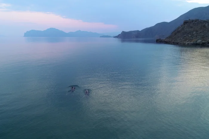 A couple of dolphins in Provato Bay - My, Crimea, Russia, Sky, The photo, Black Sea, Dolphin