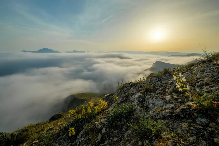 Foggy evening on the Koktebel hills - My, Crimea, Russia, Sky, The photo, Fog, Flowers