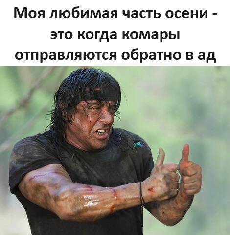 До следующего лета, ублюдки - Юмор, Картинка с текстом, Комары, Рэмбо, Осень, Telegram (ссылка)