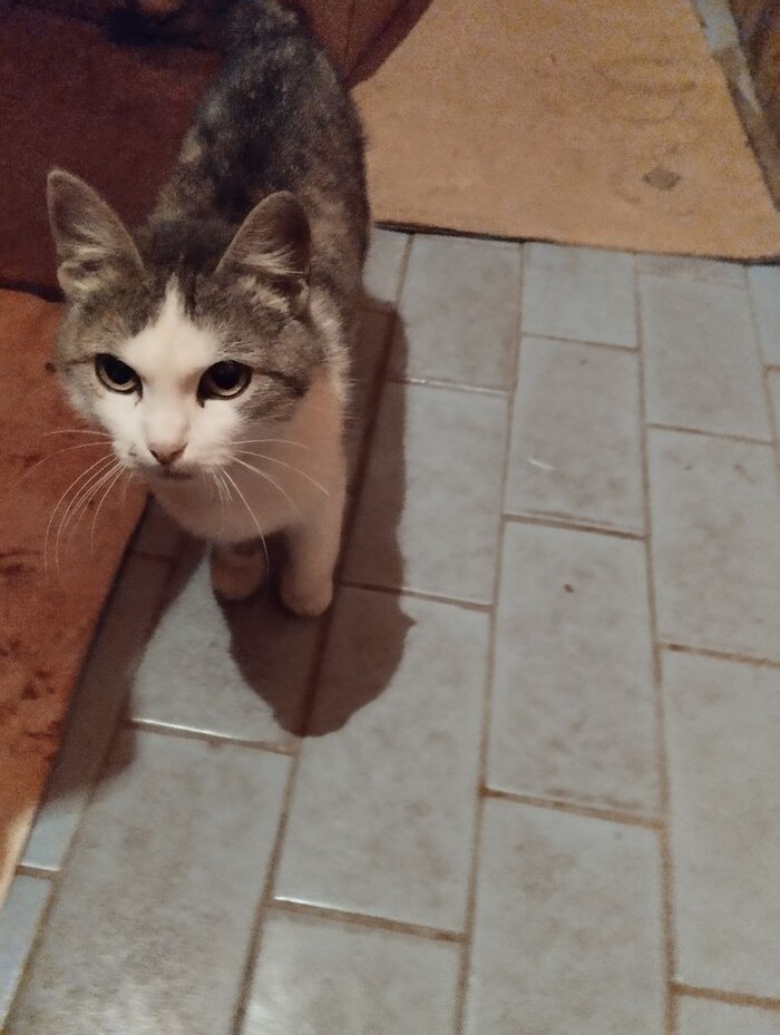            , , ,   , ,   , 