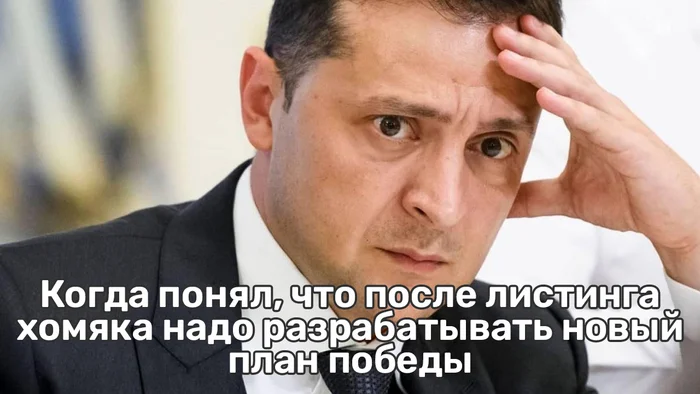 Current) - My, Politics, Vladimir Zelensky, Hamster Kombat, Picture with text