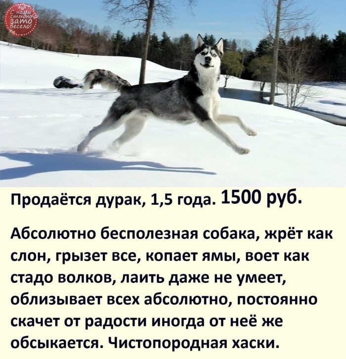 ������� �� ������ 88000000000