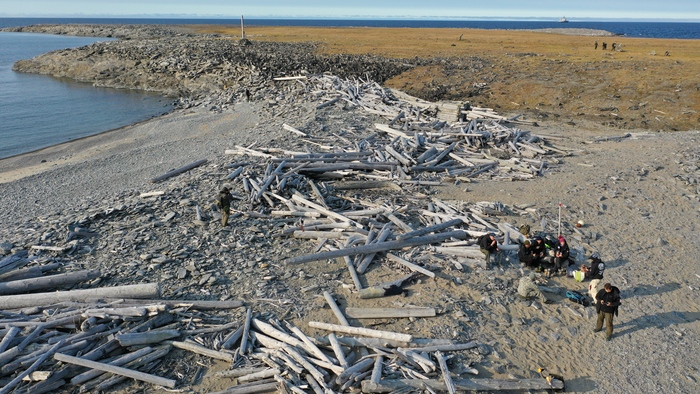 Дневник наблюдателя за китами. о.Попова-Чухчина