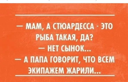 Анекдот - Картинка с текстом, Юмор, Пилот, Небо, Самолет, Стюардесса, Жена