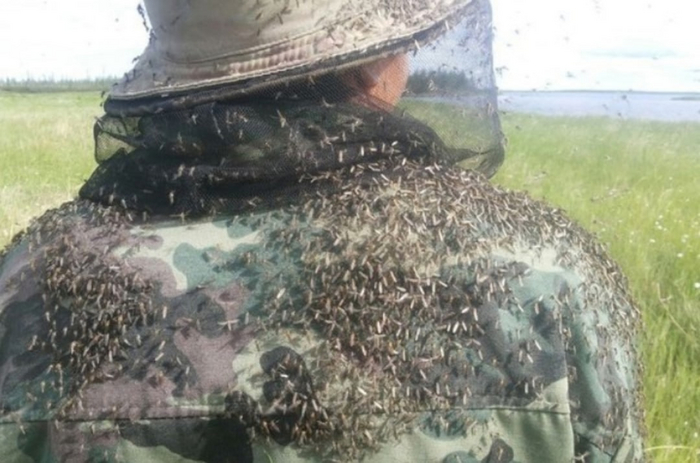 Ужасная ситуация: стая диких комаров прогрызает защитный комбинезон исследователя. От неминуемой гибели его отделяет лишь несколько минут...