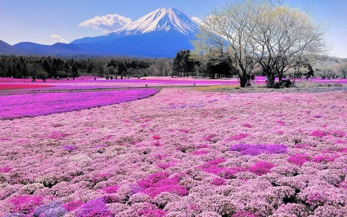 Beautiful nature - Nature, Beautiful view, beauty, Longpost