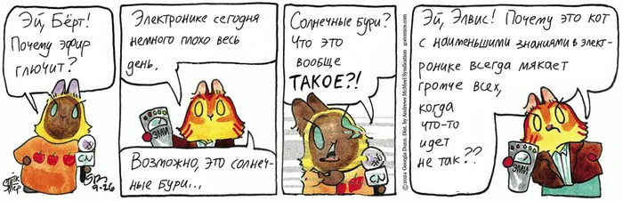 Koteikiny News from 09.26.2024 - My, cat, Comics, Koteikin news (comic), Translation