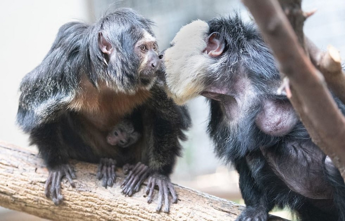 Дорогой, у меня для тебя подарочек за спиной спрятан!
