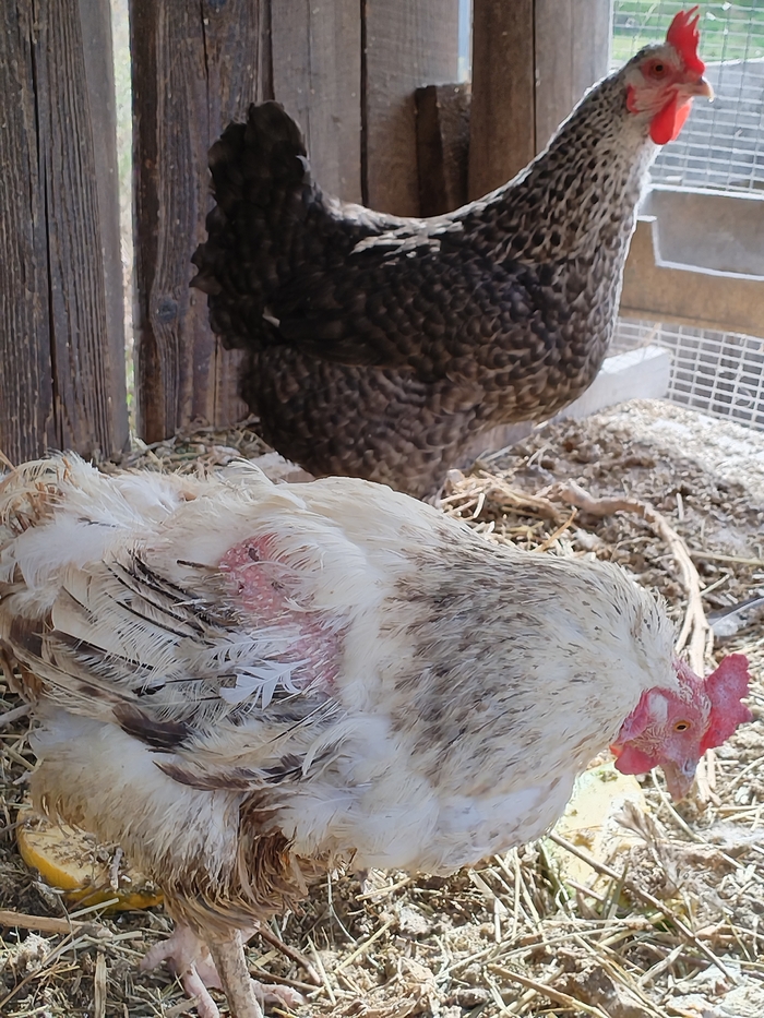       ,     ,    .  ,     .