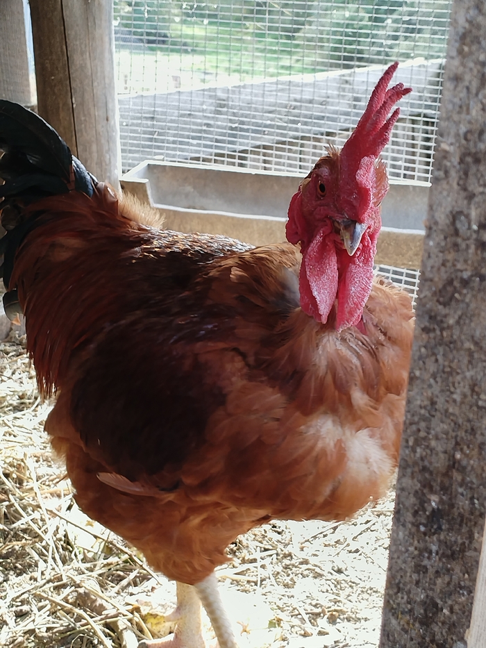   .  .  ,  .  ,   .    ,    .