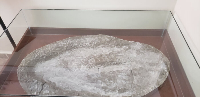 След тиранозавра?