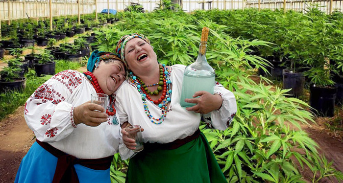          ,   . ( : <!--noindex--><a href="https://pikabu.ru/story/kratkaya_instruktsiya_po_izgotovleniyu_zolota_v_domashnikh_usloviyakh_11848132?u=http%3A%2F%2Fyoutube.com&t=youtube.com&h=e811da956f221e699705f50cef6e0e9a0b979138" title="http://youtube.com" target="_blank" rel="nofollow noopener">youtube.com</a><!--/noindex-->)