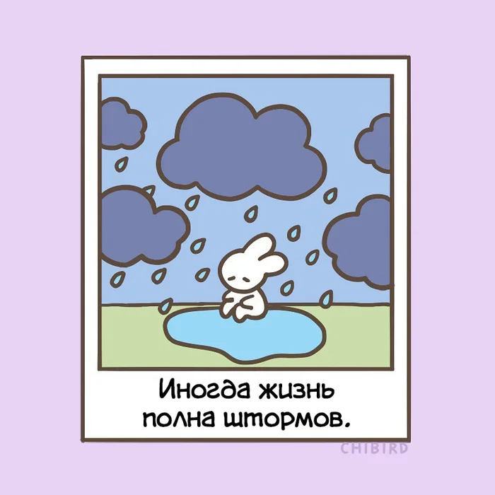 Storm - Comics, Translated by myself, Chibird, Longpost