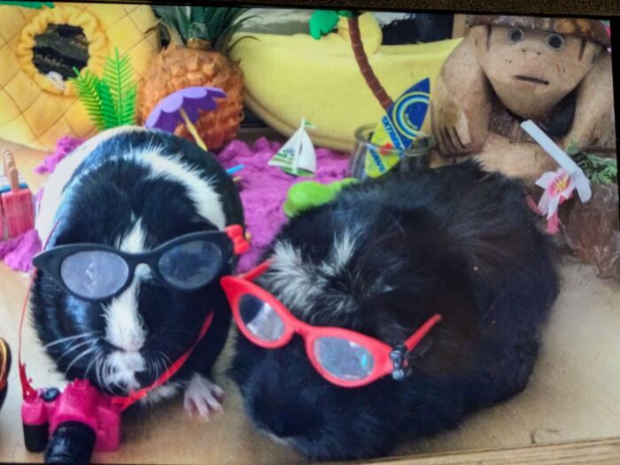 Люди, а когда у нас бархатный сезон заканчивается?