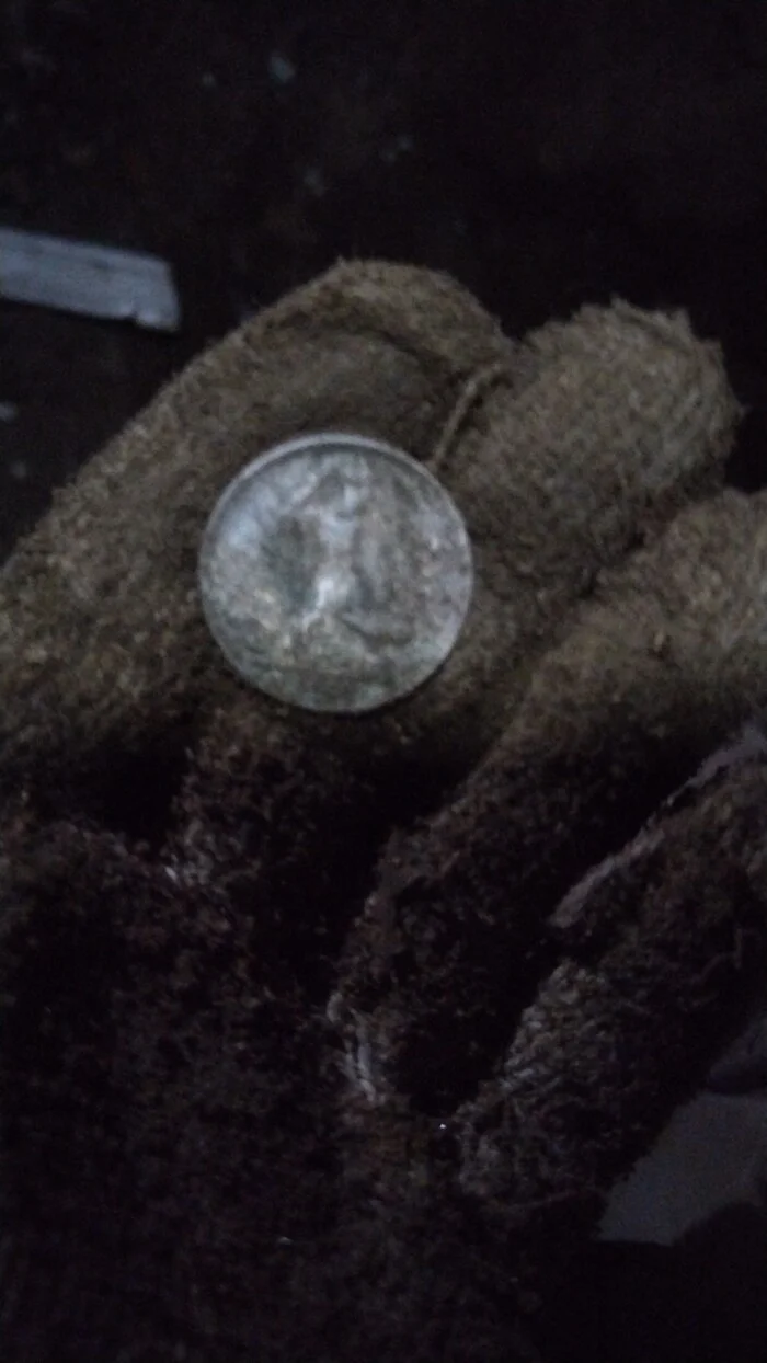 Fifty Dollars or How They Digged at Night - My, Silver, Old man, Coin, Rare coins, Digger, Metal detector, Komrad, Bore pit, Archaeological finds, Find, Blagoveshchensk, Amur region, Tsar, Night, Longpost