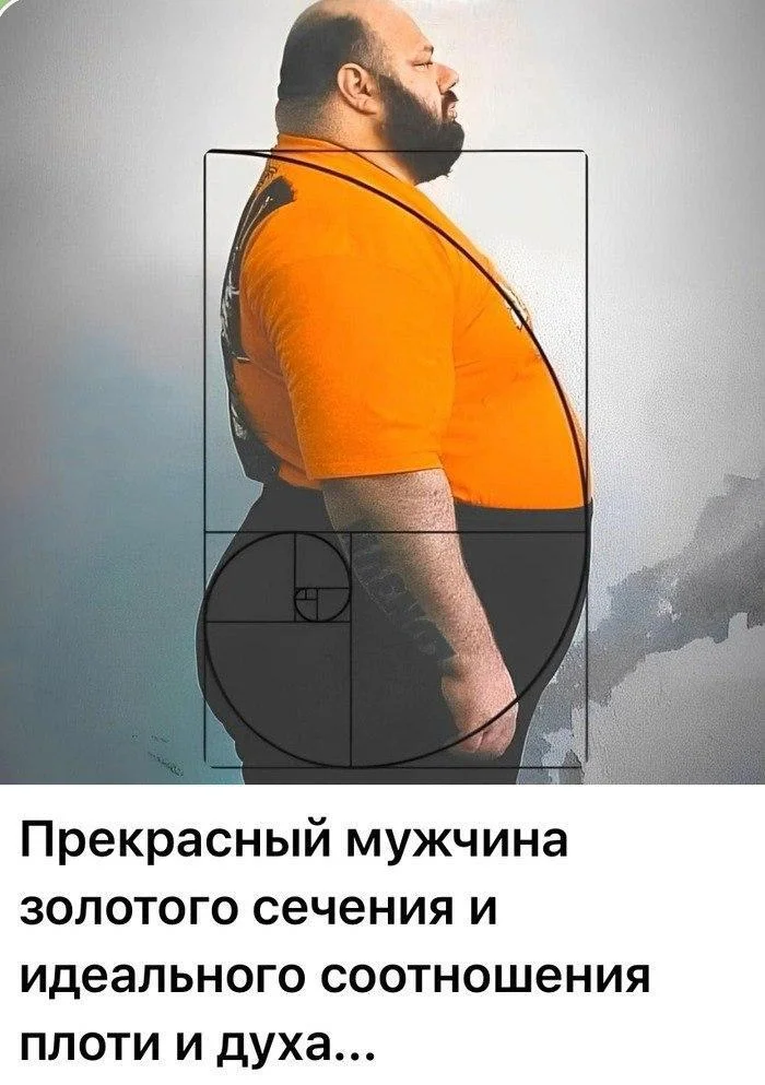 Ideal proportions - Humor, Picture with text, Men, Golden ratio