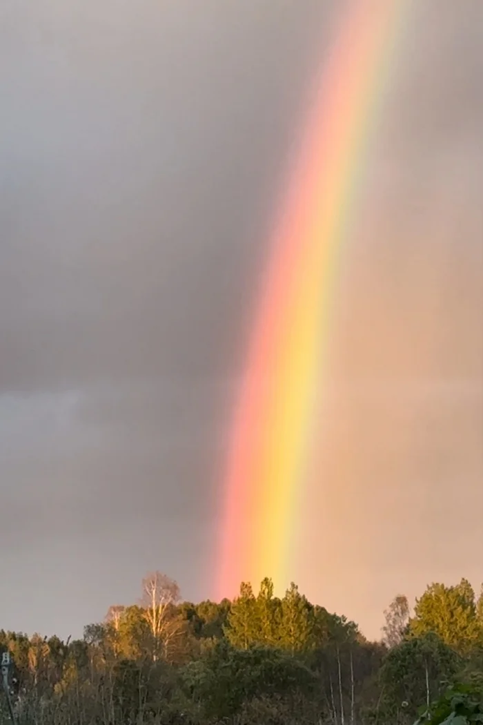 Such an incredible autumn rainbow - My, A life, Mobile photography, Rainbow, Autumn