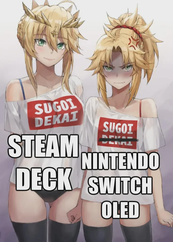 You know who to choose - Anime, Anime memes, Picture with text, Fate, Fate grand order, Artoria pendragon lancer, Mordred, Steam Deck, Nintendo switch, Stockings