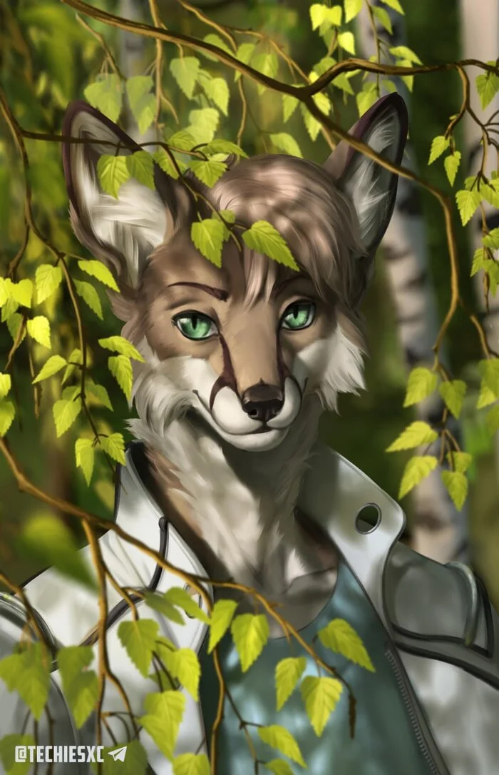 In the shade of birches - My, Silverbloodwolf98, Furry, Digital drawing, Furry fox