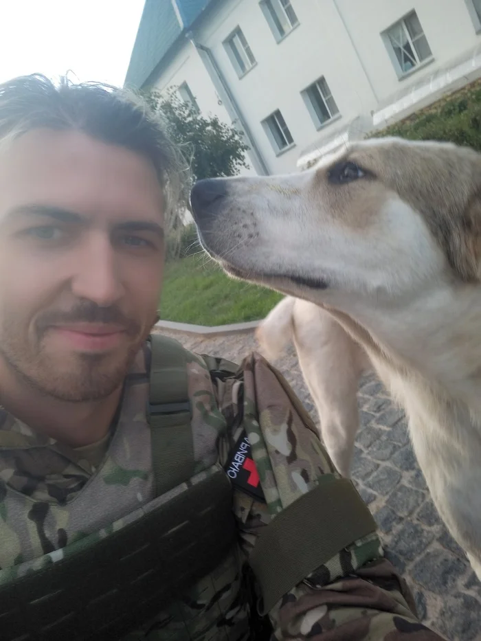 One scatters the feed, the other runs with an axe and cuts the chains - Kindness, Special operation, Volunteering, Kursk region, Animals, The rescue, Video, Longpost