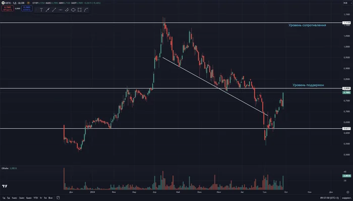 YGC lost the case - My, Trading, Stock exchange, Investments, Stock market, Stock