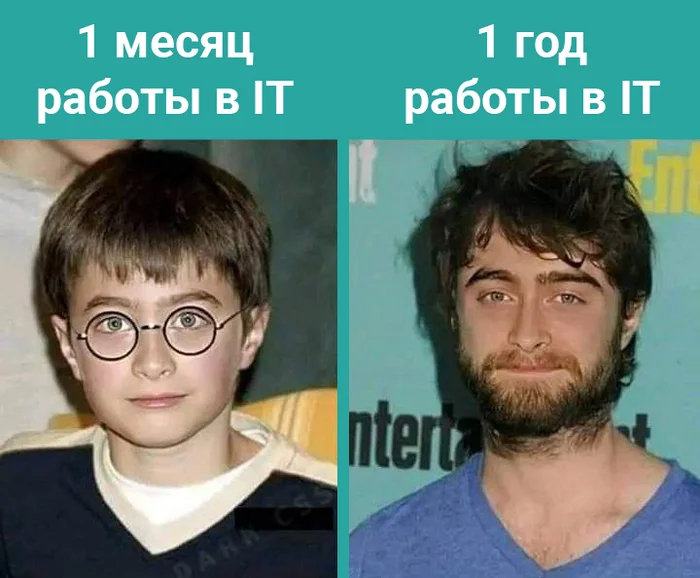 Work in IT - IT humor, IT, Programming, Programmer, Picture with text, Daniel Radcliffe