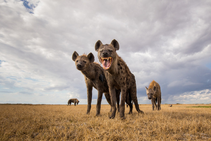 Когда он сказал, что мужик в доме должен быть главным.