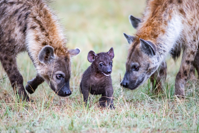 Даже старшие склоняют передо мной головы!