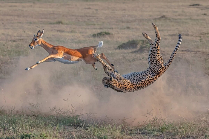  ,   .     ...    !    !   !