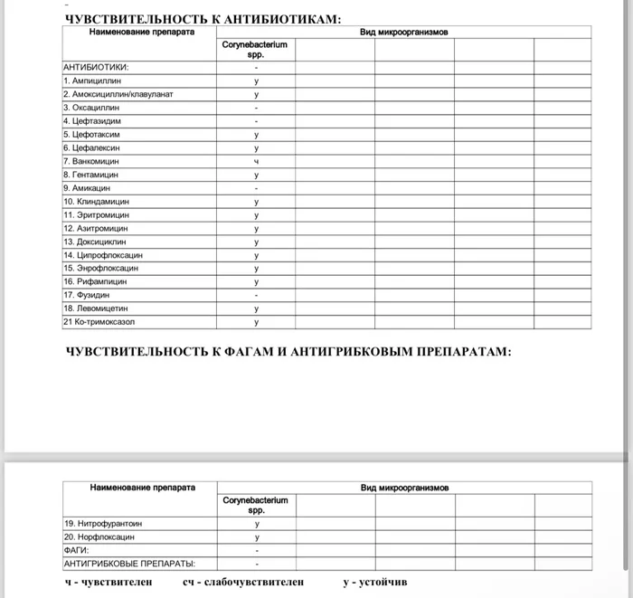 Whose problem is this? - Veterinary, Medications, Informative, Pets, Nauchpop, Antibiotics