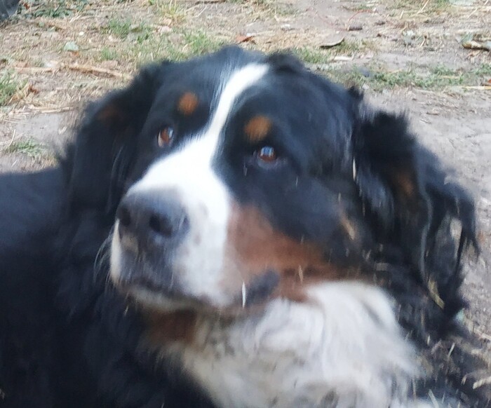 Продолжение поста «Охотница»