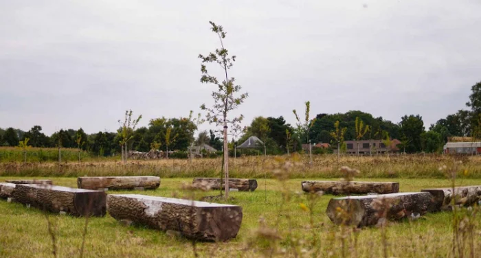 Eco-cemetery in Flanders: biodegradable coffins and birdhouses instead of tombstones - Garbage, Ecology, The science, Scientists, Research, Funeral, Longpost