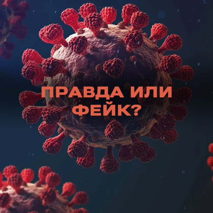 COVID-19 exists as a bacteria - true or fake? - Media and press, Fake news, news, Coronavirus, Yandex Zen (link), Longpost