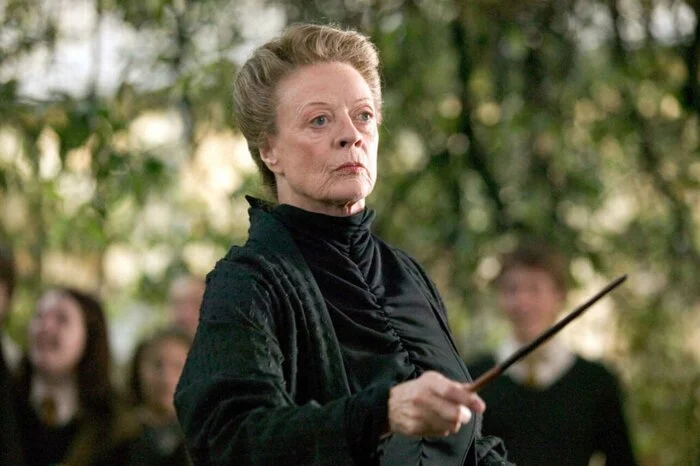 Actress Maggie Smith has died. She was known for her role as Professor McGonagall. Raise your wands - Sadness, Magic, Harry Potter, Maggie Smith, Actors and actresses