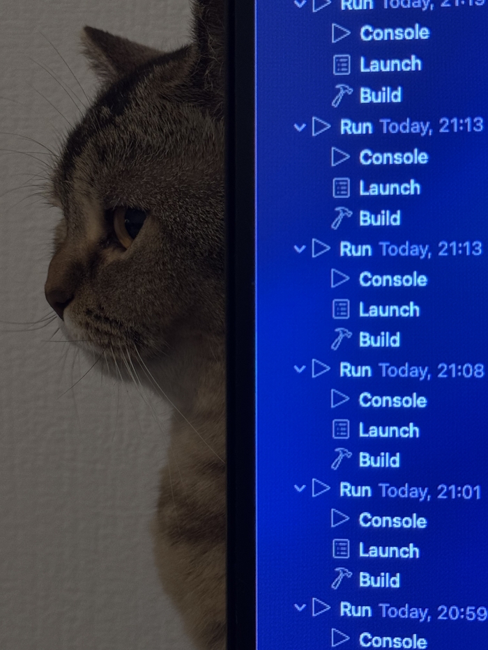 ��� ������